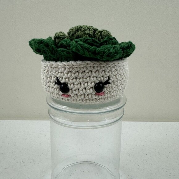 Handmade Crochet Houseplant Succulent Plant Pot And Coasters Set - Picture 1 of 10